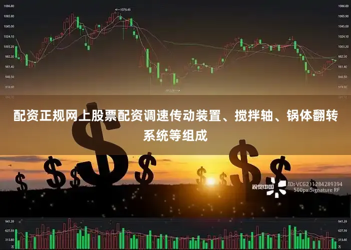 配资正规网上股票配资调速传动装置、搅拌轴、锅体翻转系统等组成