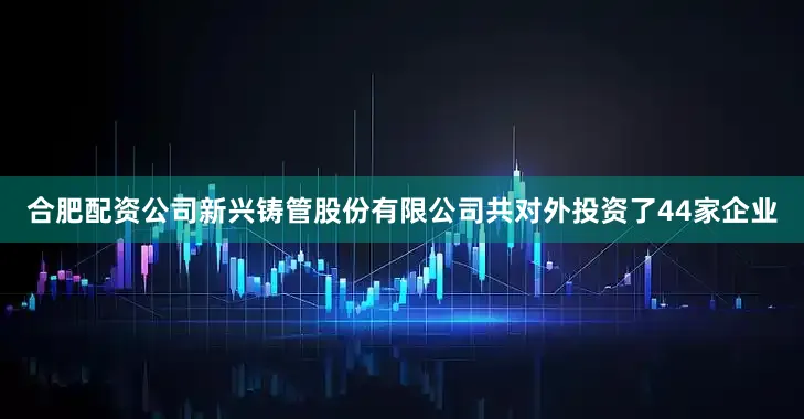 合肥配资公司新兴铸管股份有限公司共对外投资了44家企业