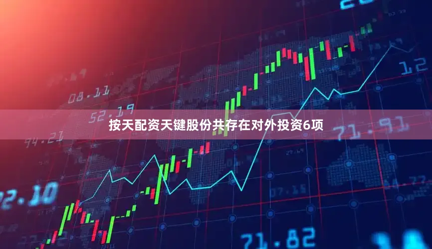 按天配资天键股份共存在对外投资6项